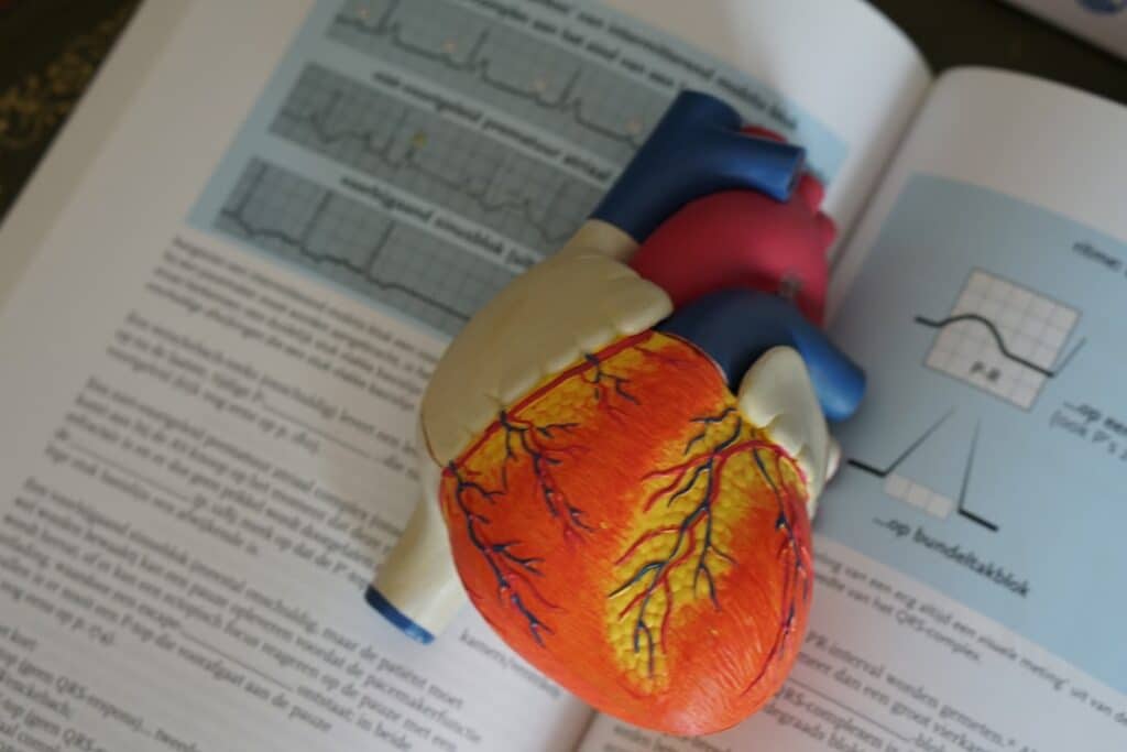 Photo Medical diagnosis