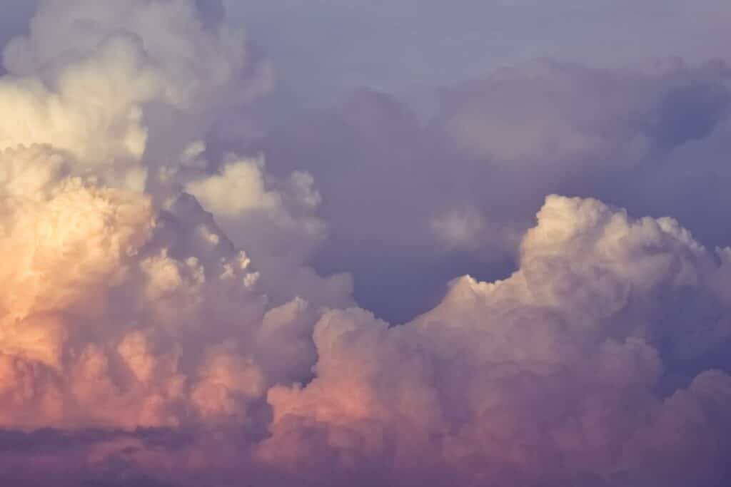 Photo Cloud-based software